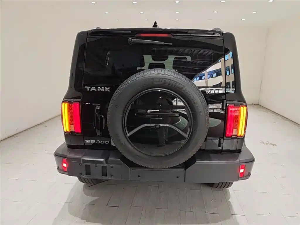 Tank 300 2023 Urban Edition 2.0T Must-Have Type фото 6