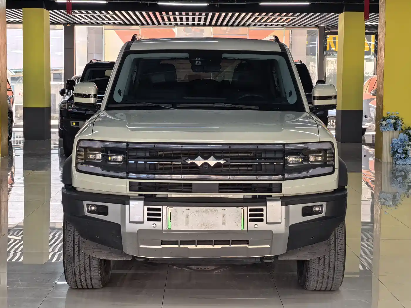 FANG CHENG BAO LEOPARD 5