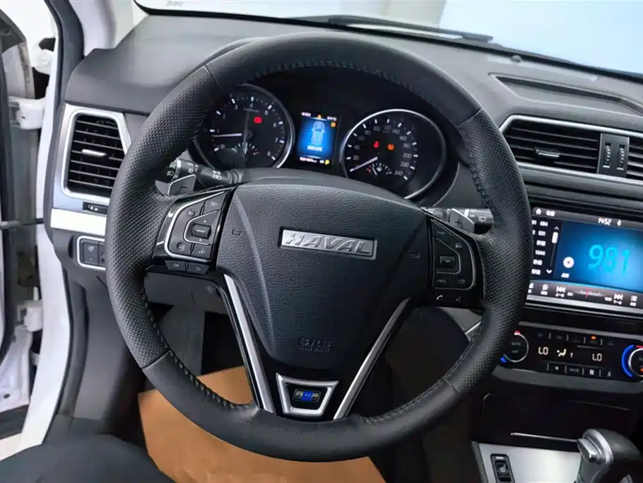 Haval H6 Coupe 2018 Blue Label 1.5T Auto 2WD Luxury Edition фото 15
