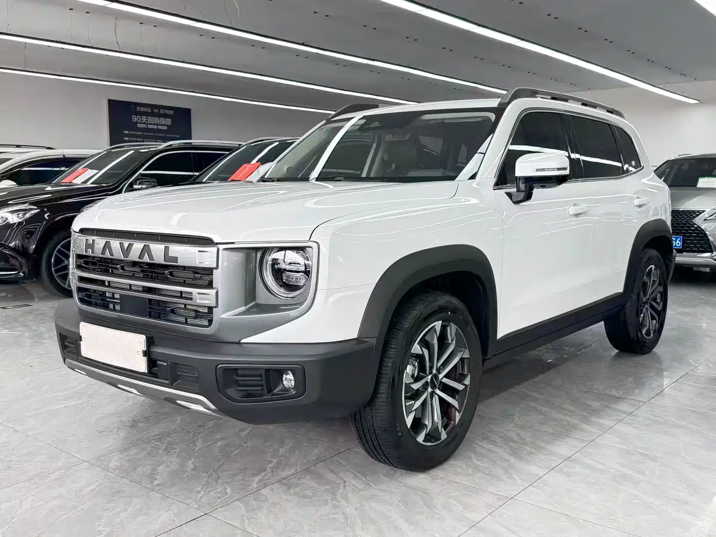 Haval Big Dog 2025 2024 1.5T DCT Border Collie Edition