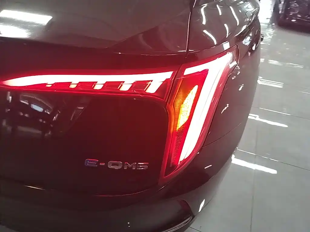 Hongqi E-QM5 2023 Facelift Basic Travel Edition фото 8