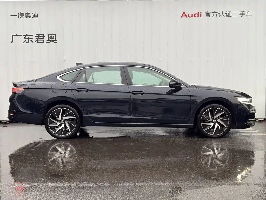Volkswagen Magotan 2025 2024 380TSI DSG Ultimate Edition