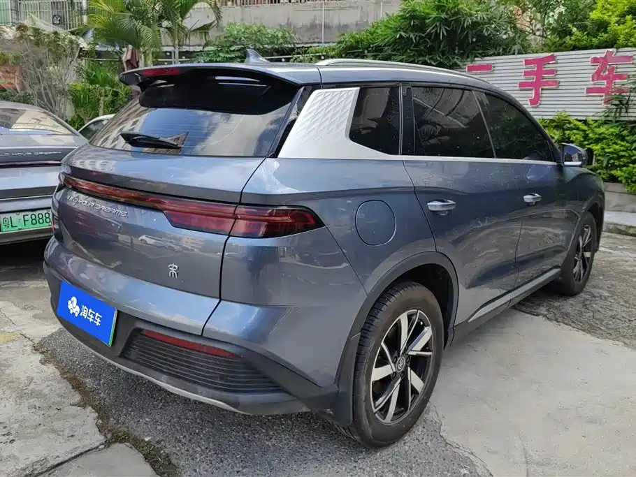 BYD Song Pro New Energy 2024 Glory Edition DM-i 71KM Pilot фото 3