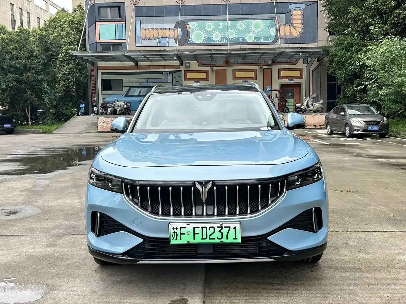 Voyah Auto VOYAH FREE 2021 4WD Extended Range Launch Edition Exclusive Luxury Package фото 3
