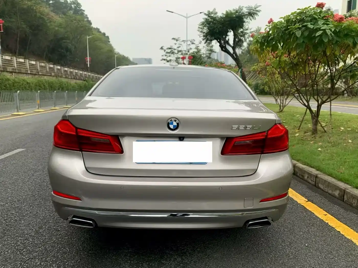 BMW 5 Series 2019 525Li Luxury Package фото 9