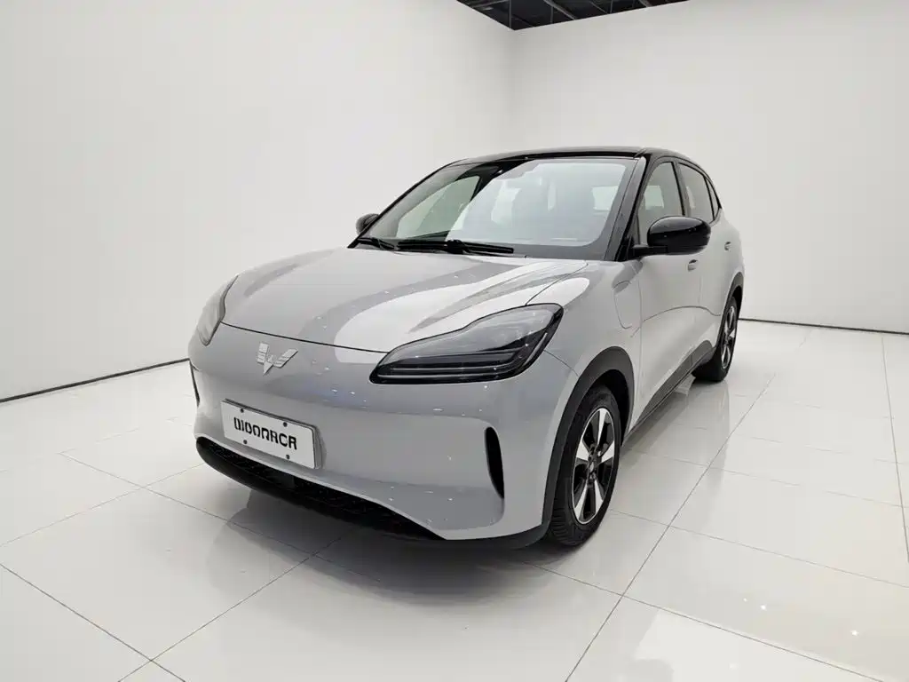  Wuling Motors Wuling Binguo PLUS 2024 510km Range 5-seater