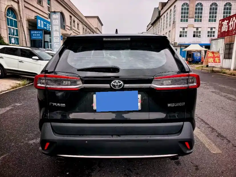 Toyota Wildlander 2020 2020 2.0L CVT 2WD Luxury Edition