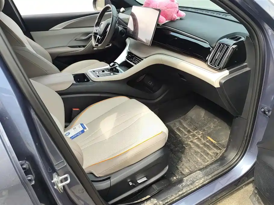 BYD Song Pro New Energy 2024 Glory Edition DM-i 110KM Excellence фото 8