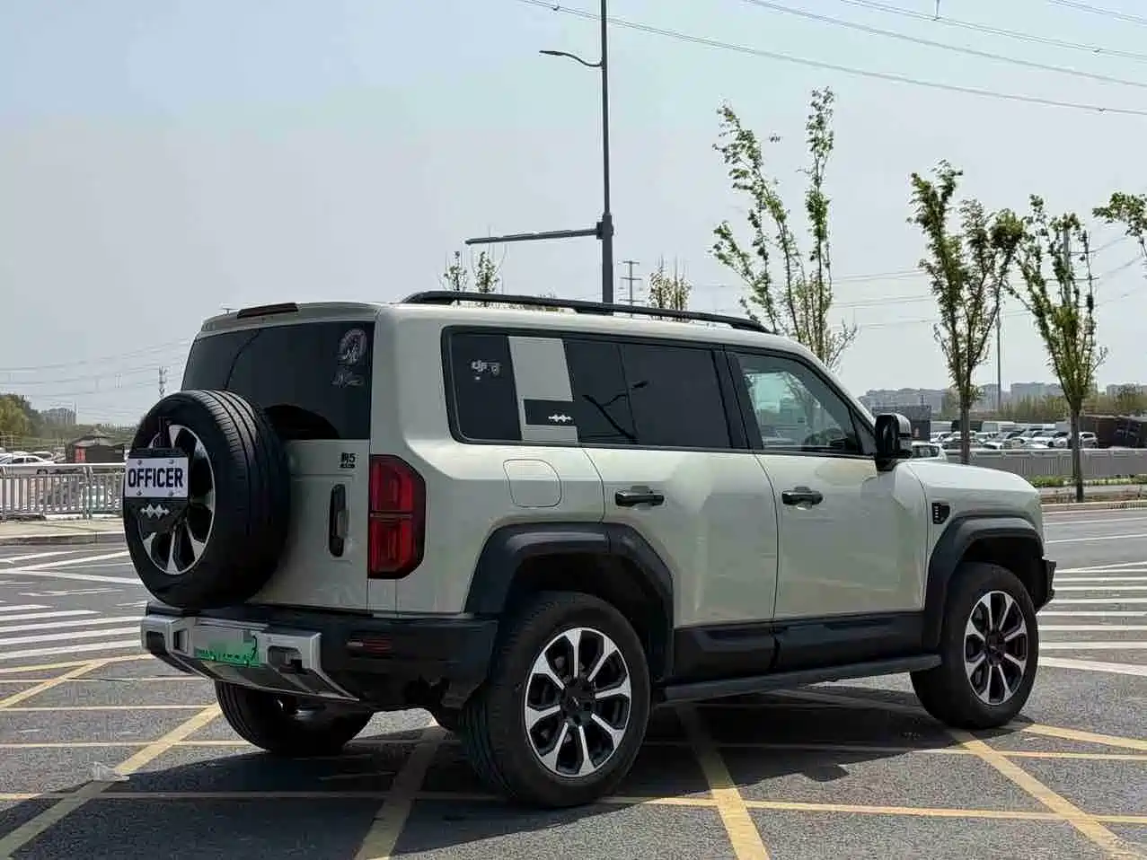 FANG CHENG BAO LEOPARD 5