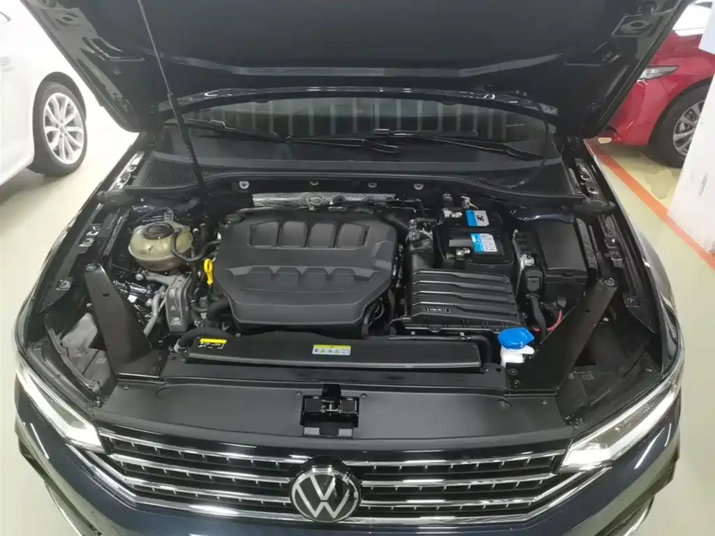 Volkswagen Magotan 2023 Model 2 Million Commemorative Edition 330TSI DSG Luxury фото 20
