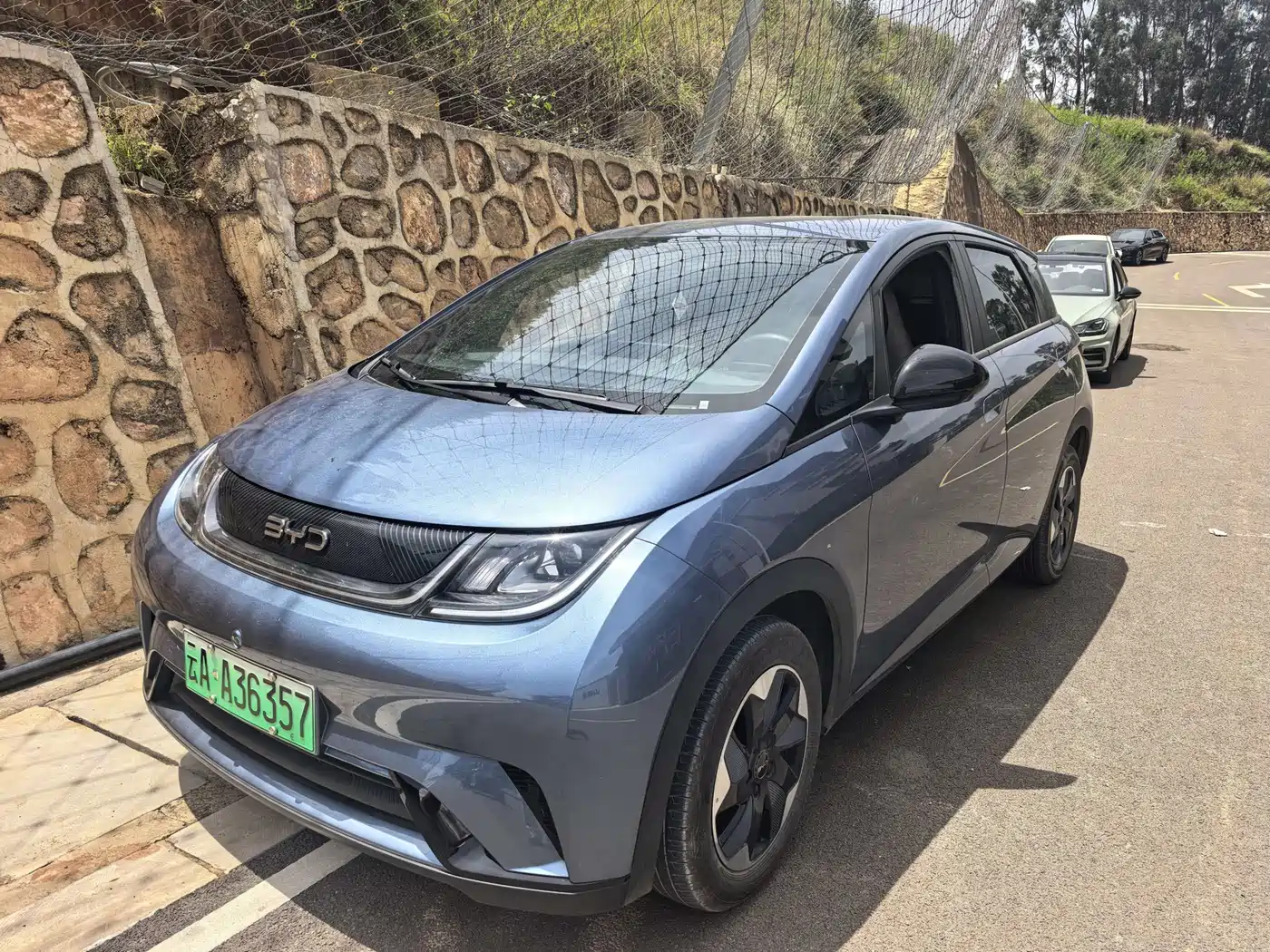 BYD Dolphin 2025 420km Freedom Edition