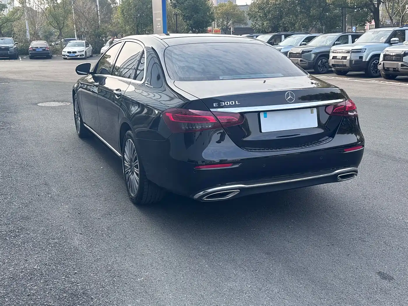 Mercedes-Benz E-Class 2023 E 300 L Fashion фото 13