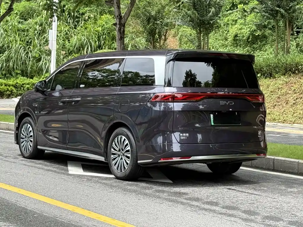 BYD Xia 2025 2025 DM-i 1.5T 100km Surpass Edition
