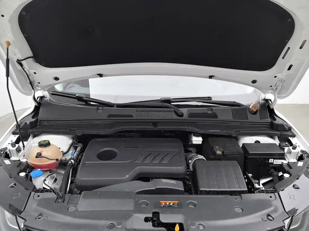 Фото 6 - Geely Binyue