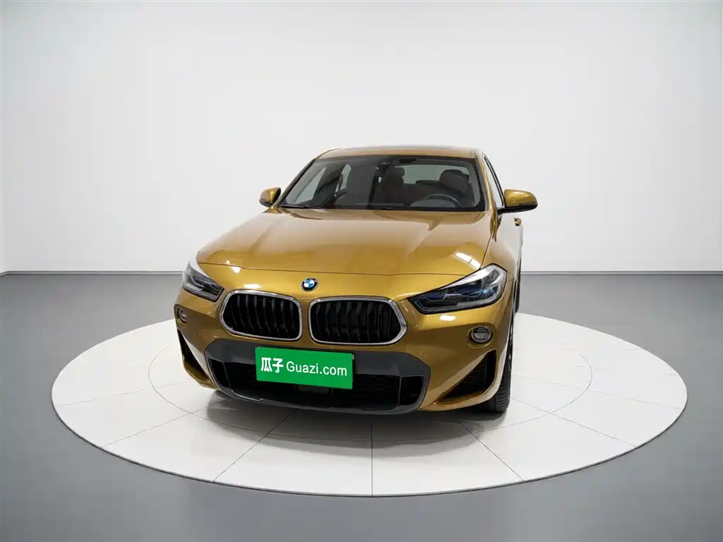 BMW X2 (Import) 2019 sDrive20i M Off-Road Package China VI фото 3