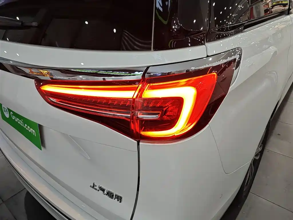 Buick GL8 2023 ES Landmaster Exclusive фото 8