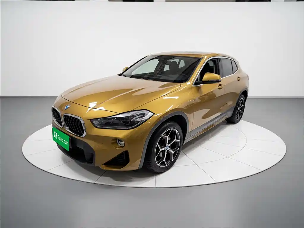 BMW X2 (Import) 2019 sDrive20i M Off-Road Package China VI