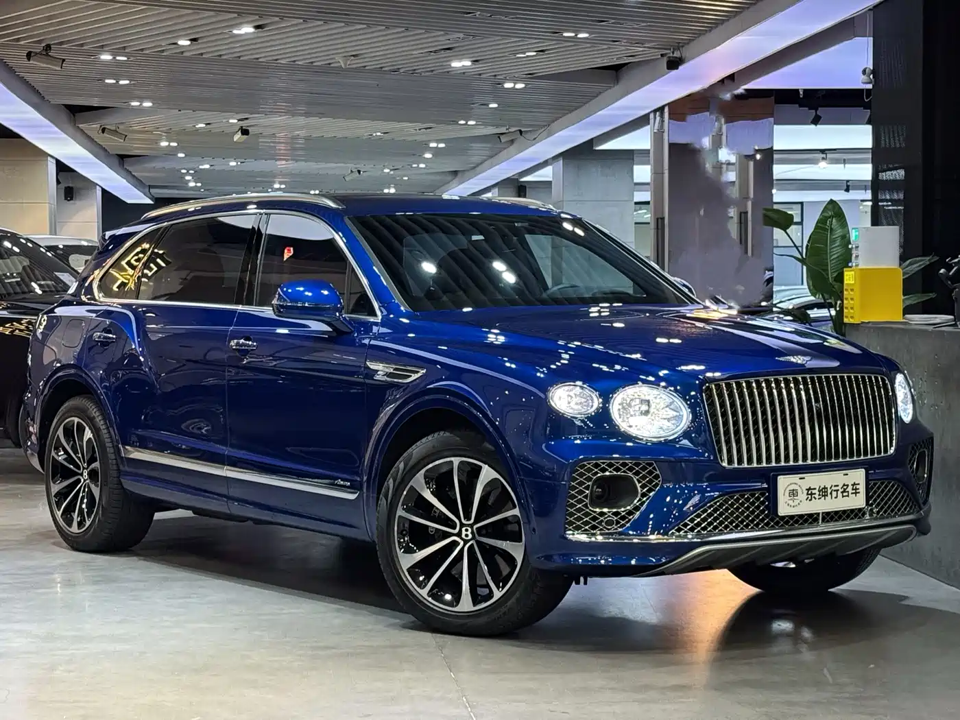 BENTLEY TIM YUE