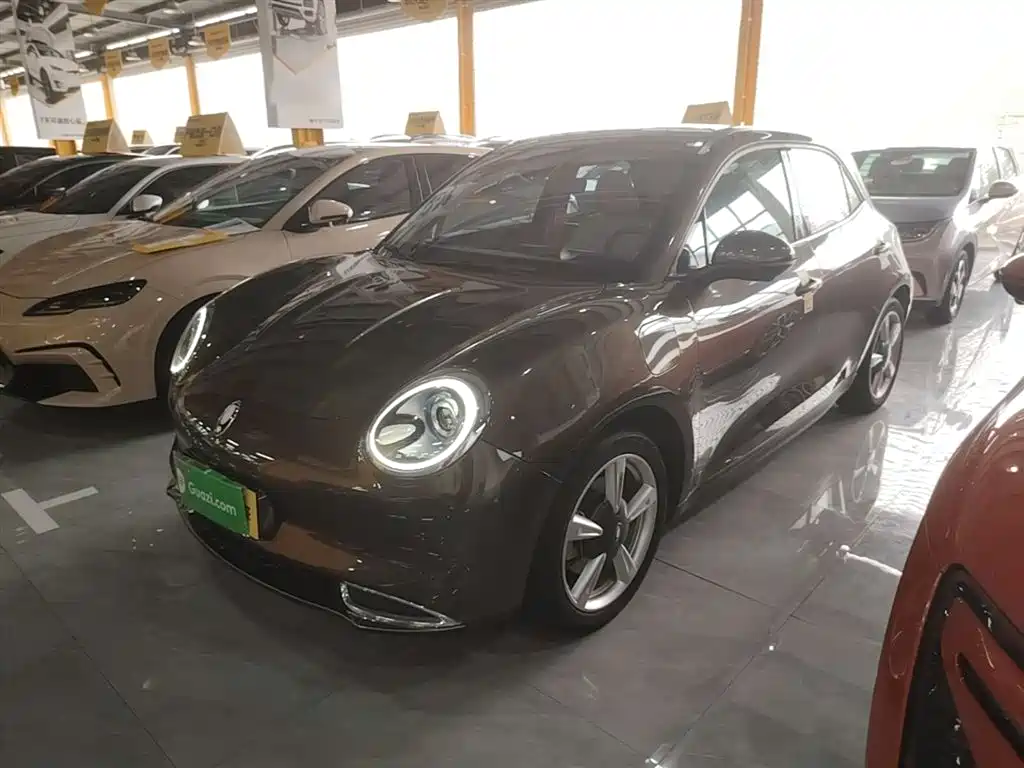 Ora Good Cat 2021 400km Standard Range Venus Edition (LFP)