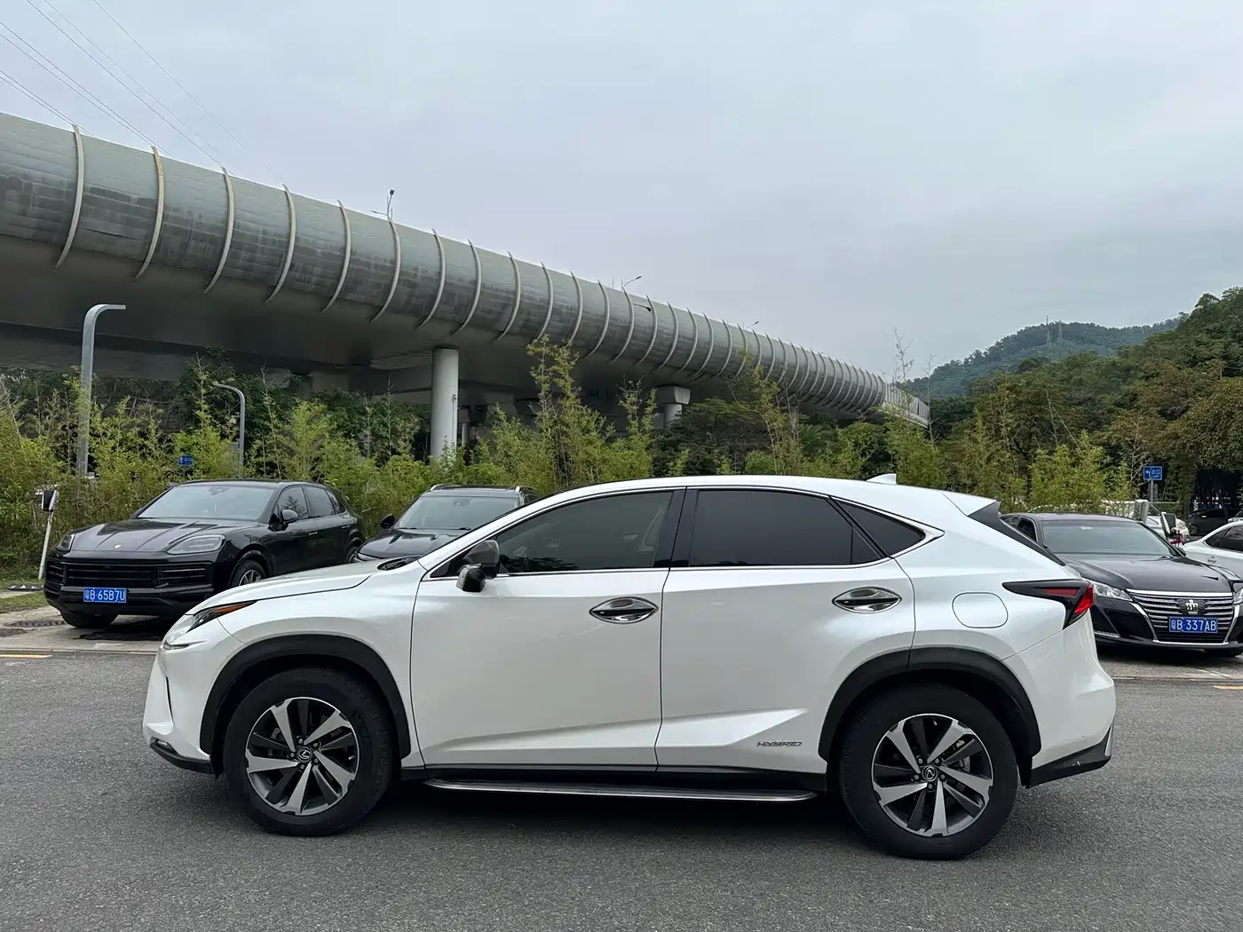 Lexus NX 2018 Model 300h AWD Fengzhi Edition China V фото 3