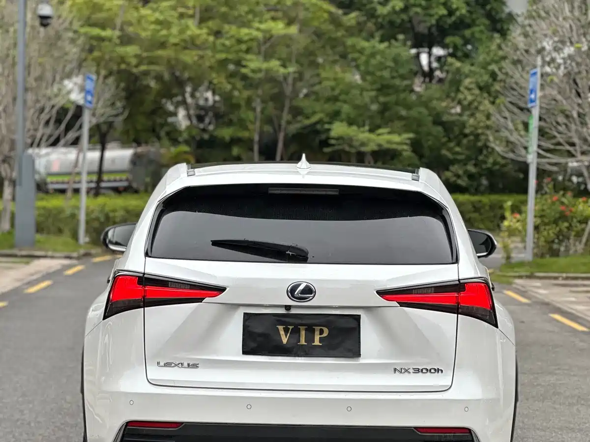 Lexus NX 2018 Model 300h AWD Fengzhi Edition China V фото 9