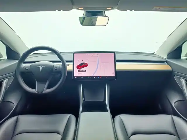 Tesla Model 3 2020 2020 Standard Range Rear-Wheel Drive Upgrade