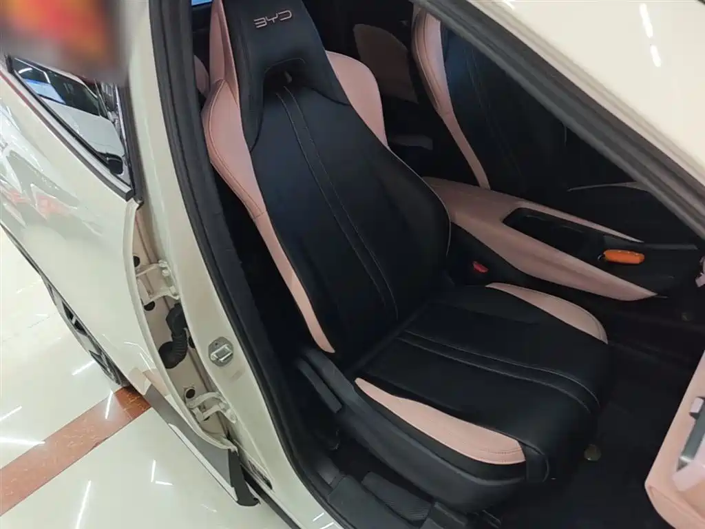 BYD Seagull 2023 Vitality Edition фото 25