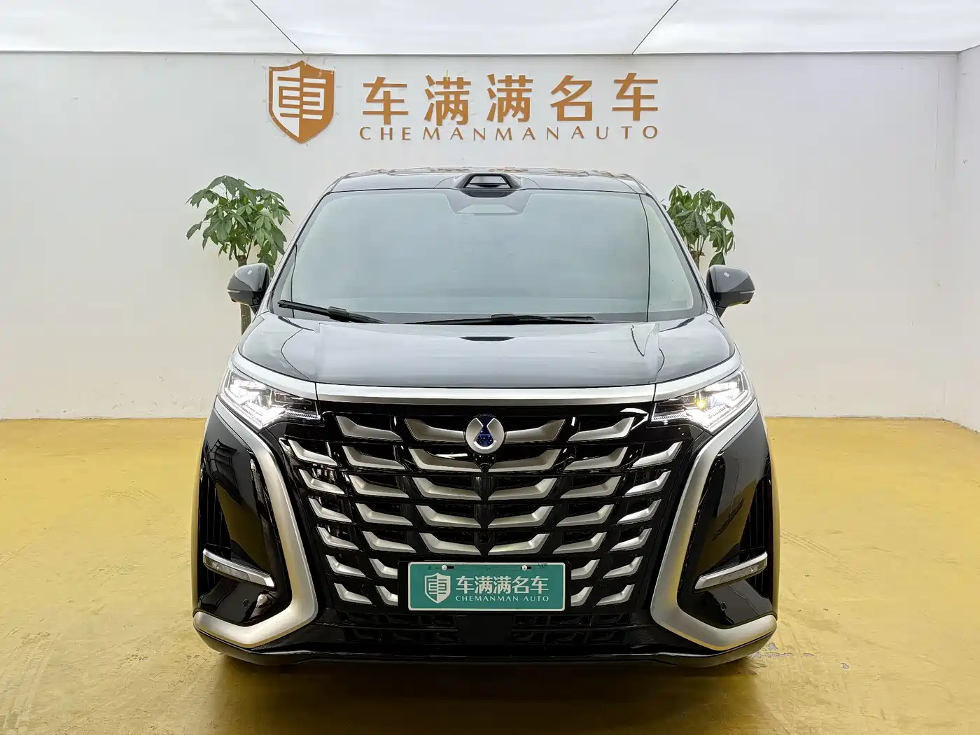 Denza D9 2026 2025 DM-i Smart Driving Edition 1020 AWD Flagship