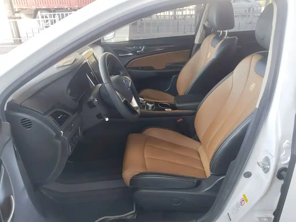 BYD Qin New Energy 2019 2018 Qin EV450 Smart Connected Premium Edition