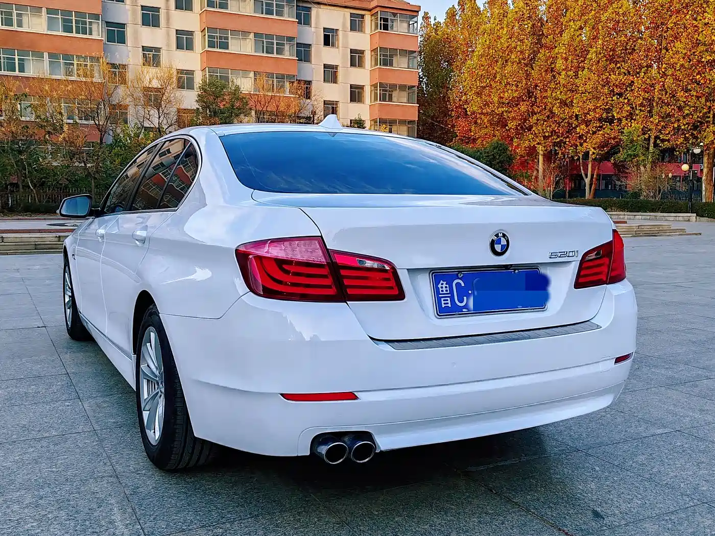 BMW 5 Series 2013 520Li Elegance фото 9