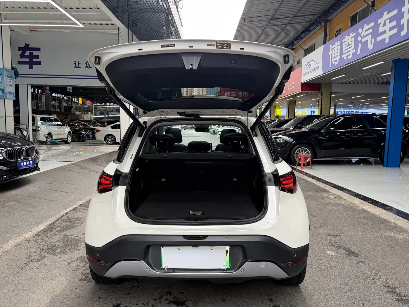 smart Elf #1 2022 2022 Pro+ Edition