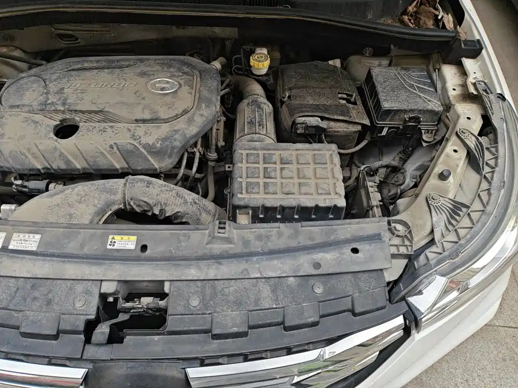 Фото 21 - GAC Trumpchi GS4