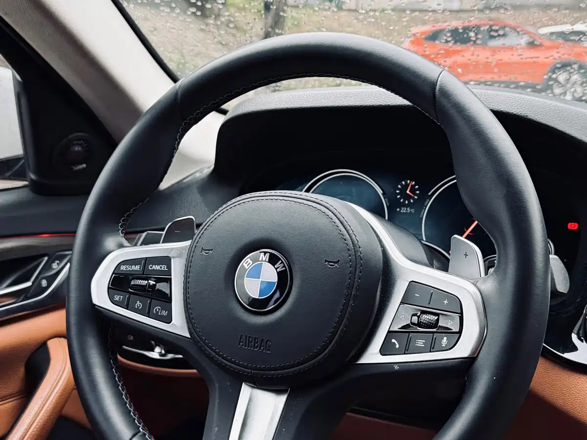 BMW 5 Series 2018 530Li Leading Luxury Package фото 29