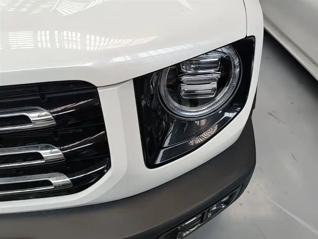 Haval Big Dog 2022 2.0T DCT AWD Chinese Pastoral Dog Edition фото 24
