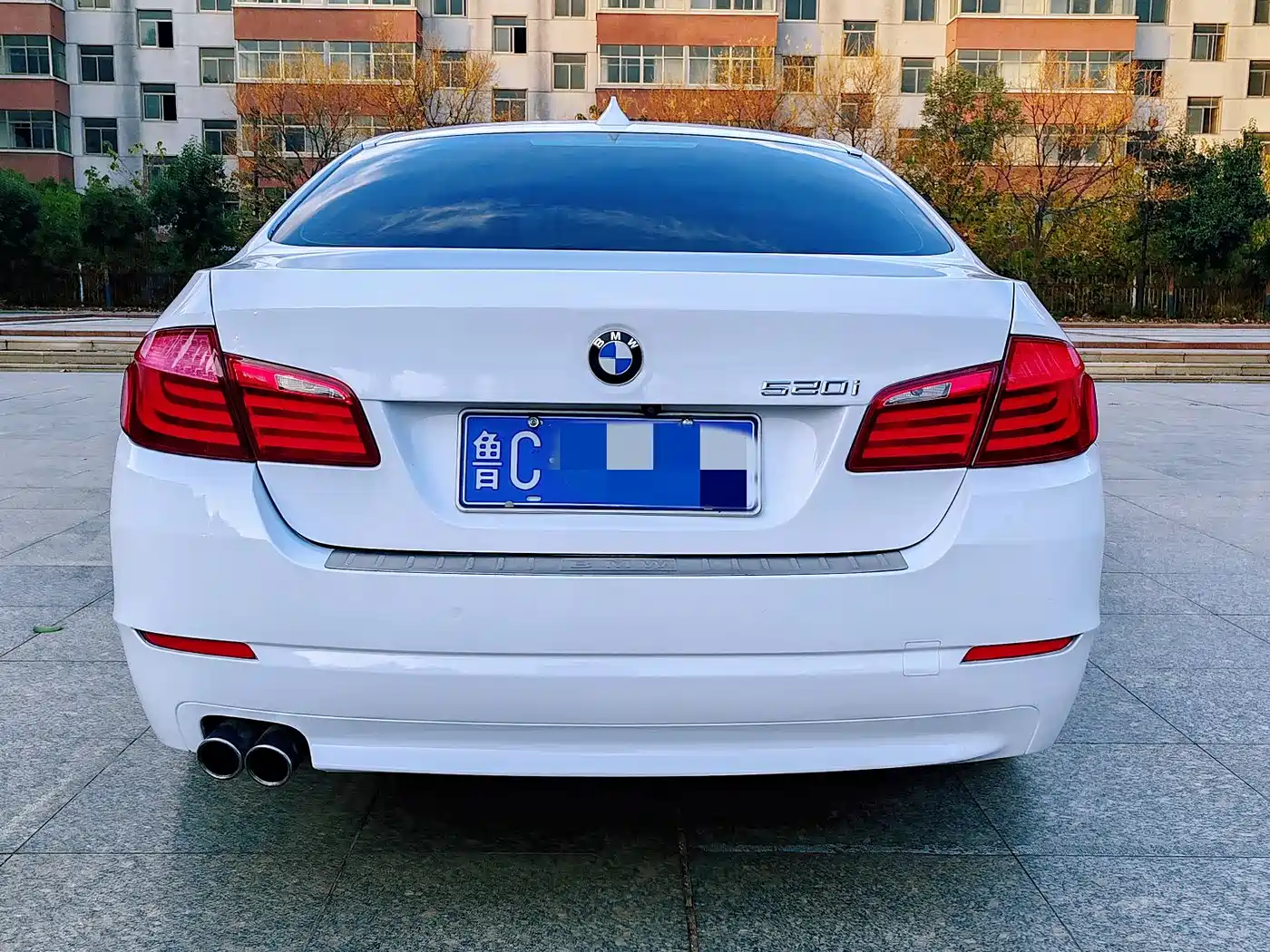 BMW 5 Series 2013 520Li Elegance фото 10