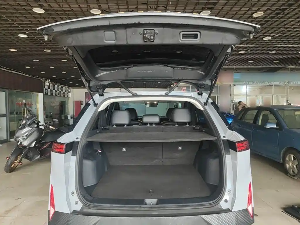 Venucia VX6 2024 2023 520 Pro