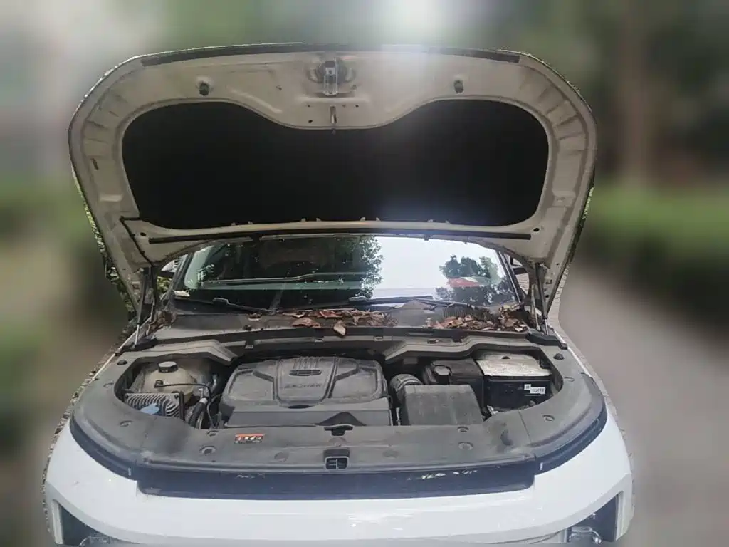 Фото 3 - Geely ICON