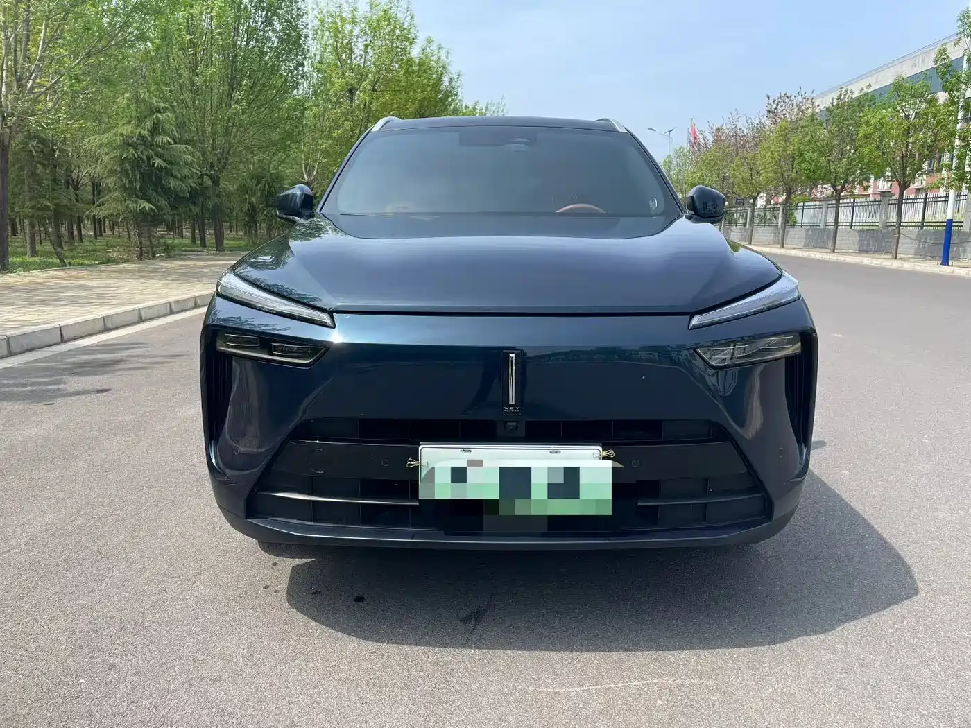 WEI PAI WEI BRAND BLUE MOUNTAIN