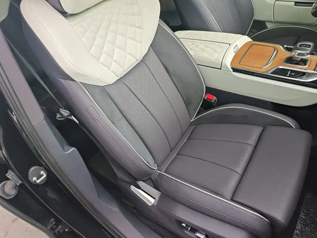 Фото 25 - Hongqi E-HS9
