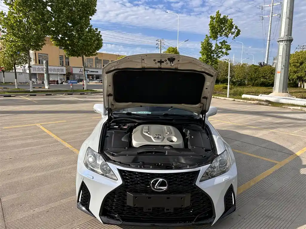Lexus IS 2009 300 Luxury Edition фото 24