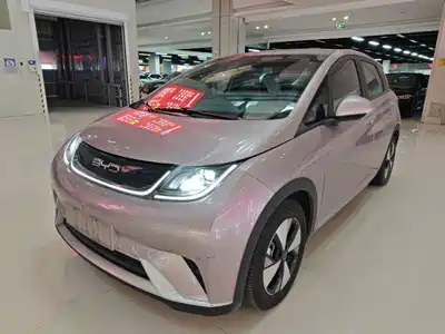 BYD Dolphin