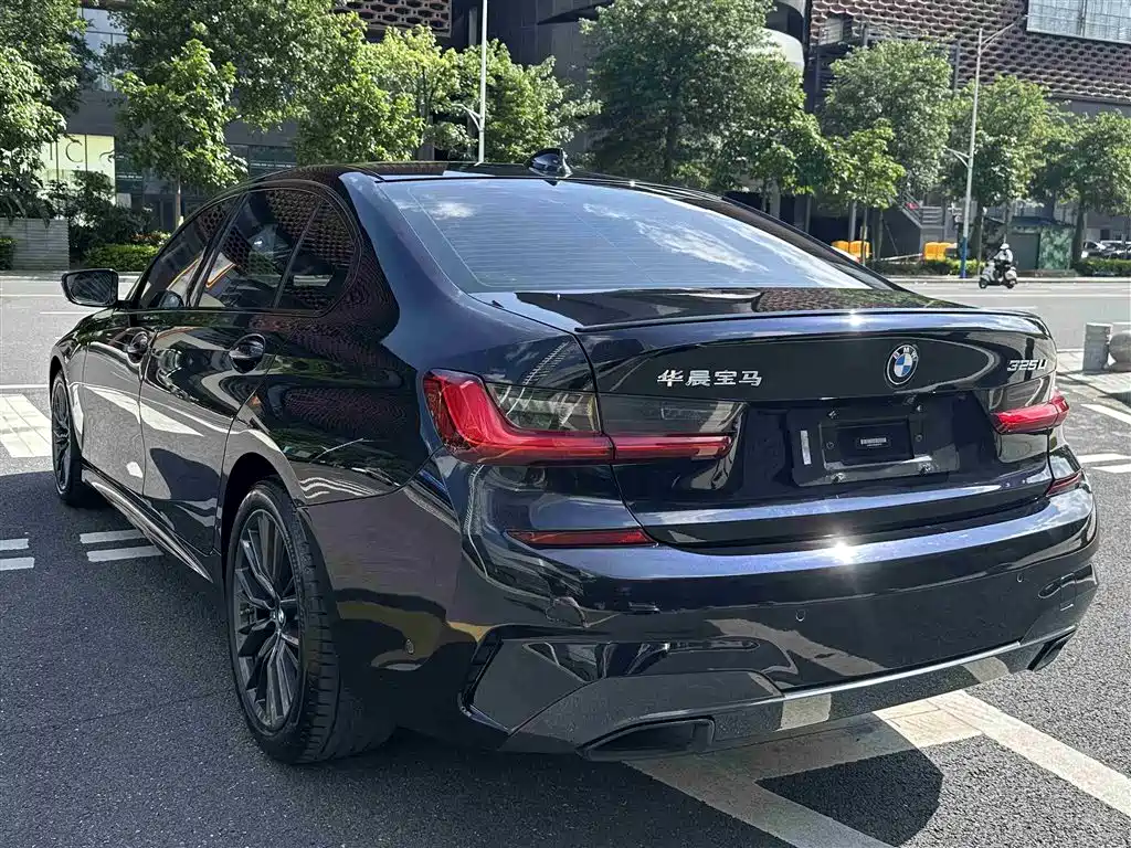 BMW 3 Series 2020 325Li M Sport Black Night Package фото 9