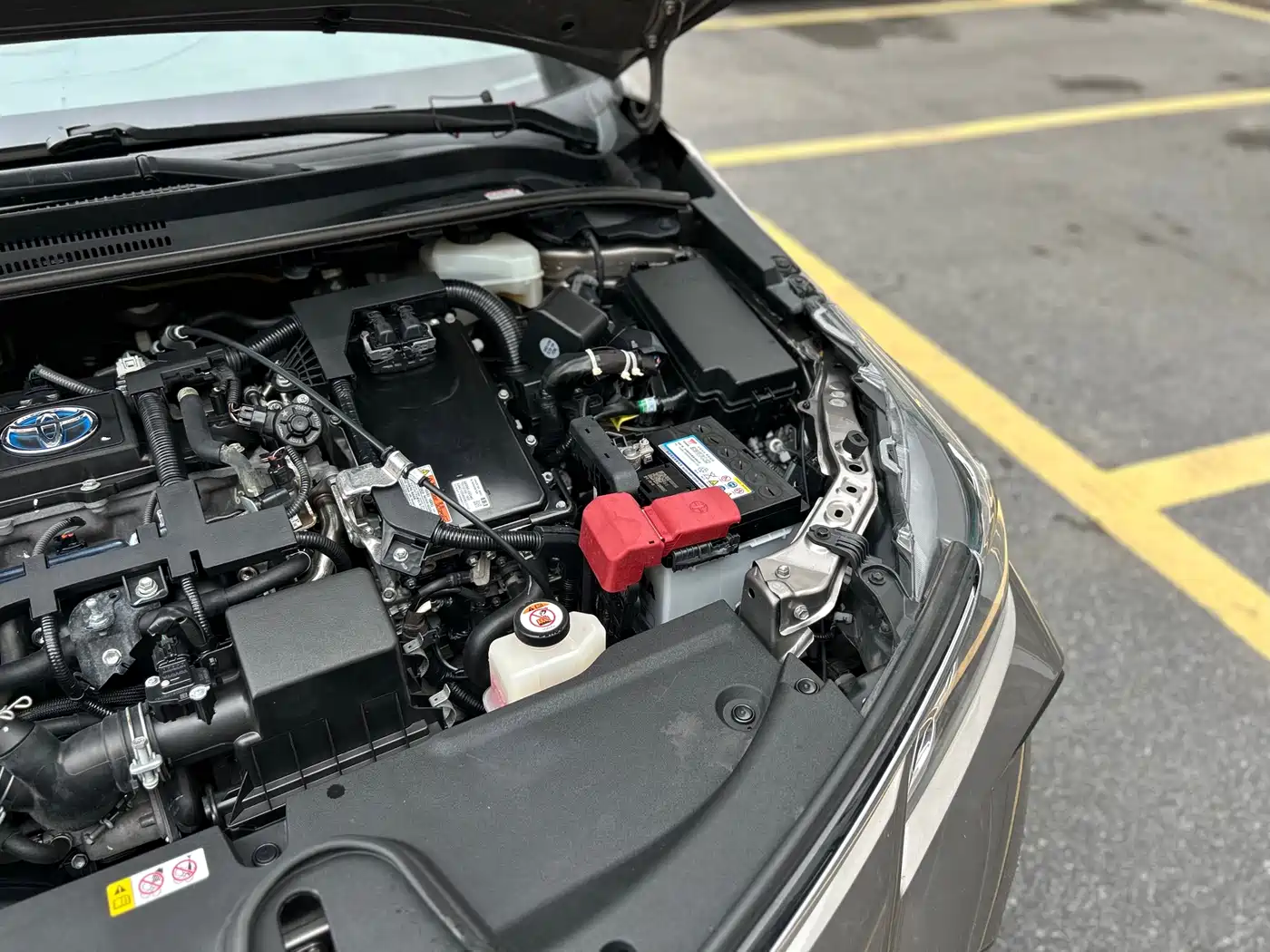 Toyota Corolla 2019 Hybrid 1.8L E-CVT GL-i Elite Edition фото 49