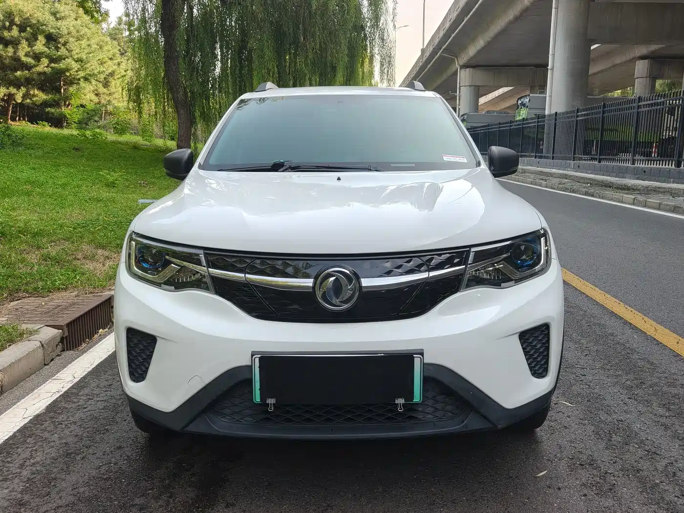 Dongfeng Yipai Dongfeng Nano EX1 2022 2022 PRO Tiger Glow Standard Edition