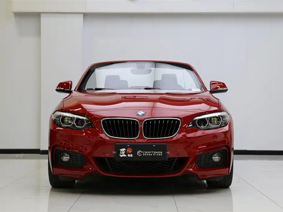 BMW 2 Series (Import) 2018 225i Convertible Coupe M Sport фото 22