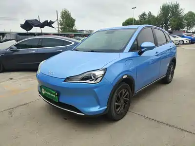 Neta V