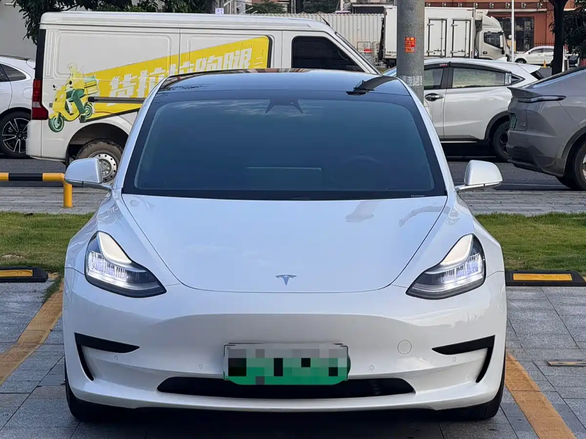 Tesla Model 3 2020 2020 Standard Range Rear-Wheel Drive Upgrade
