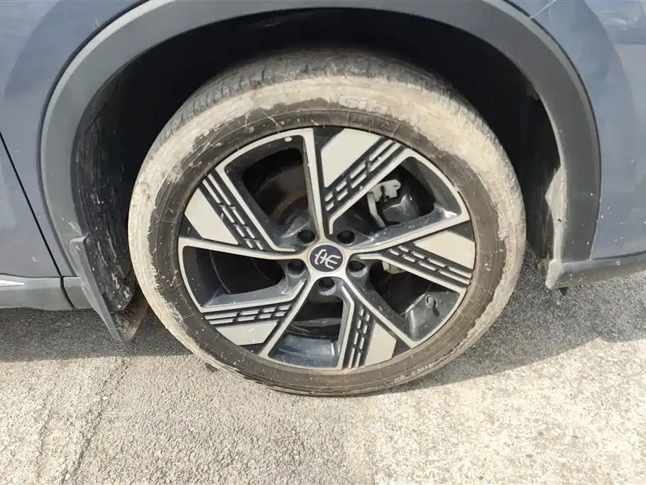 BYD Song Pro New Energy 2024 Glory Edition DM-i 110KM Excellence фото 6