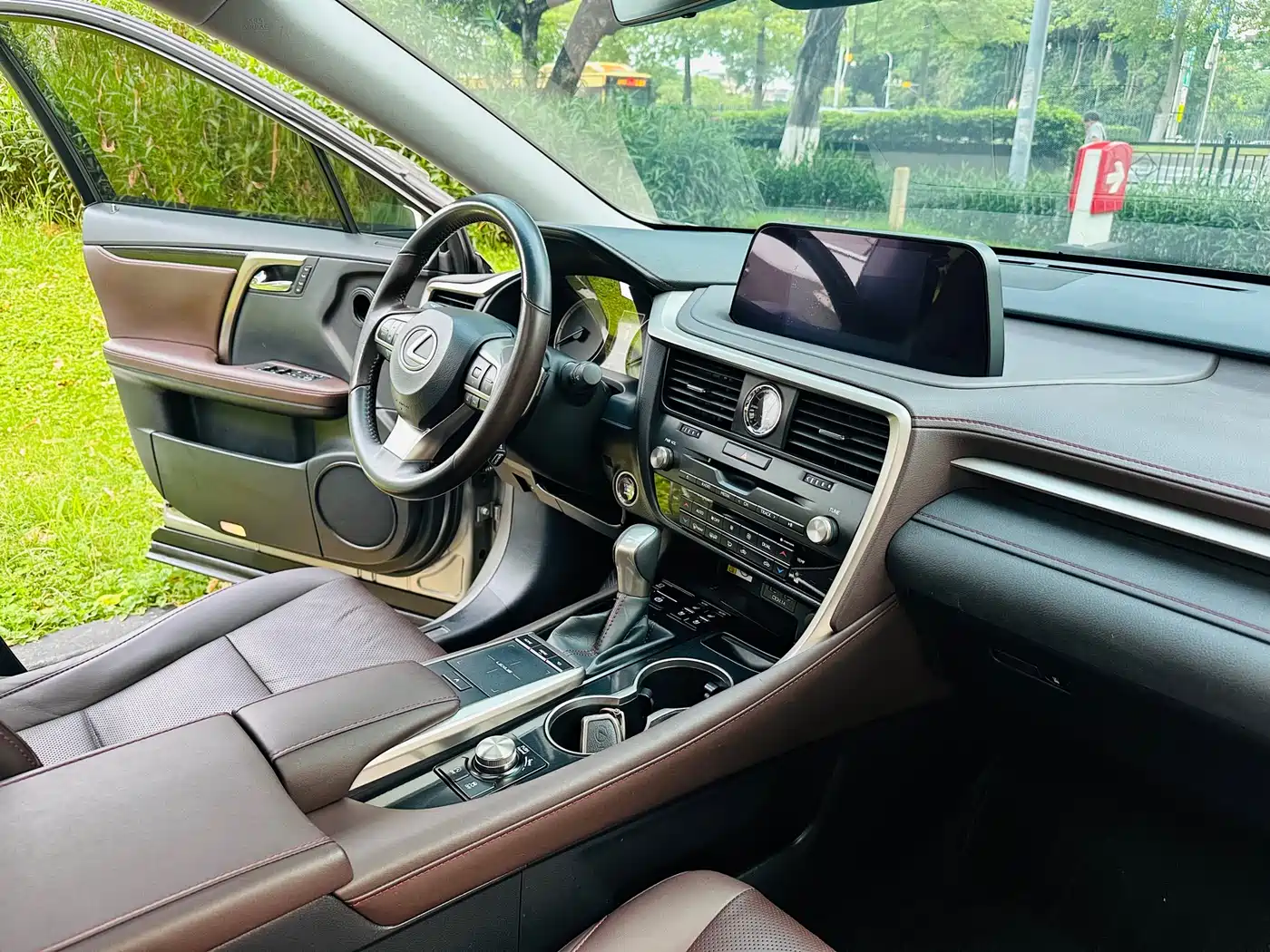 Lexus RX 2020 Facelift 300 AWD Elegance Edition фото 11
