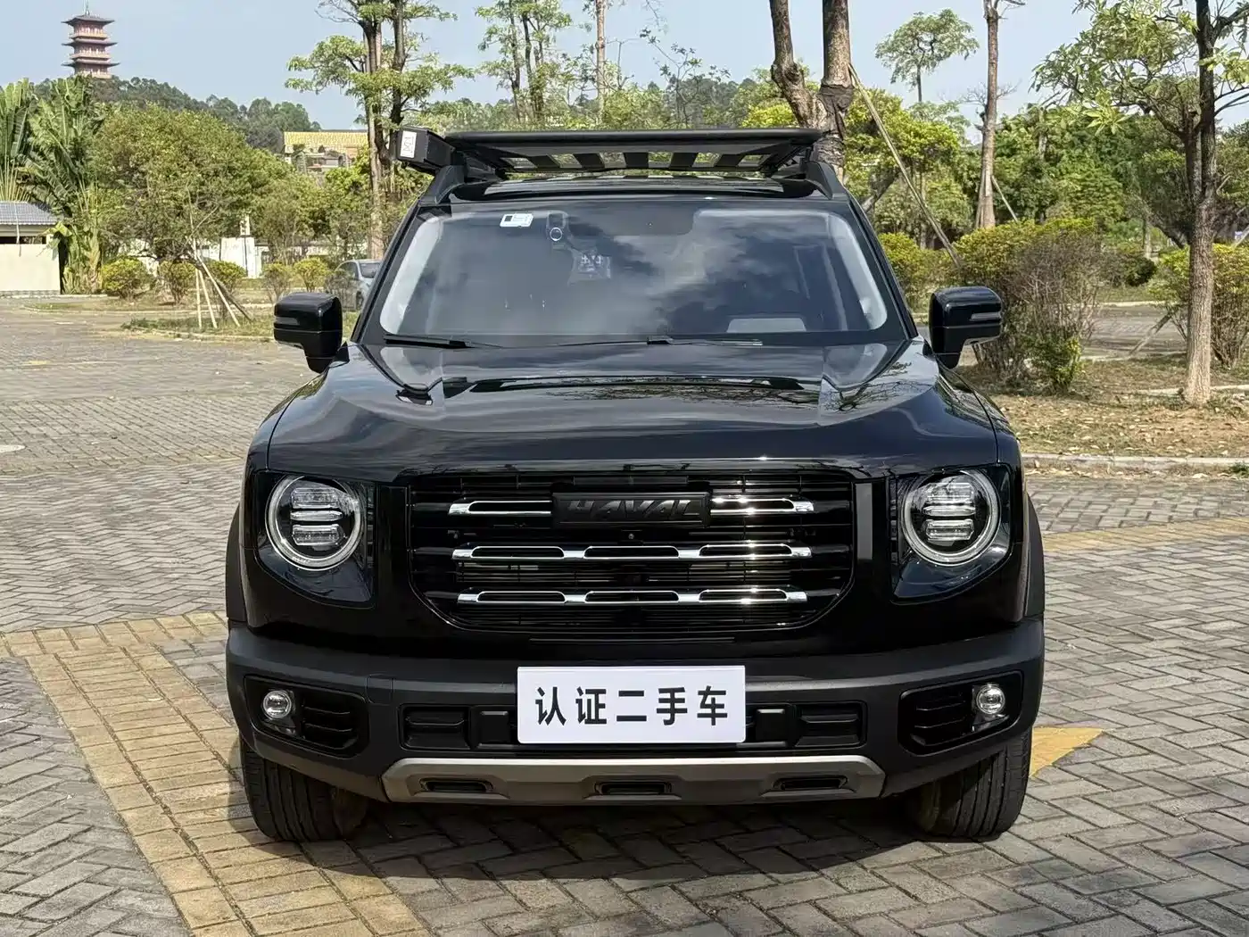 HAVAL BIG DOG
